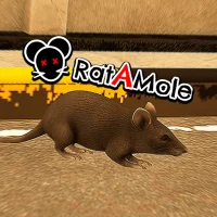 Rat A Mole